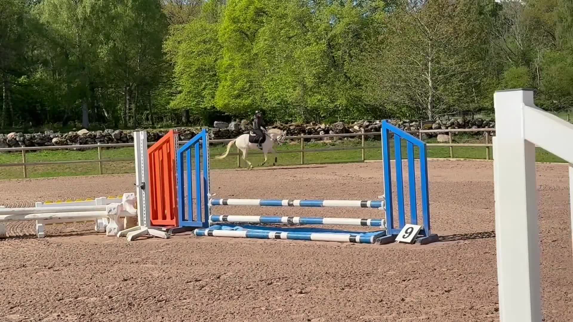 Allround hästar till salu: 🤍Drömponnyn🤍 - Video 2