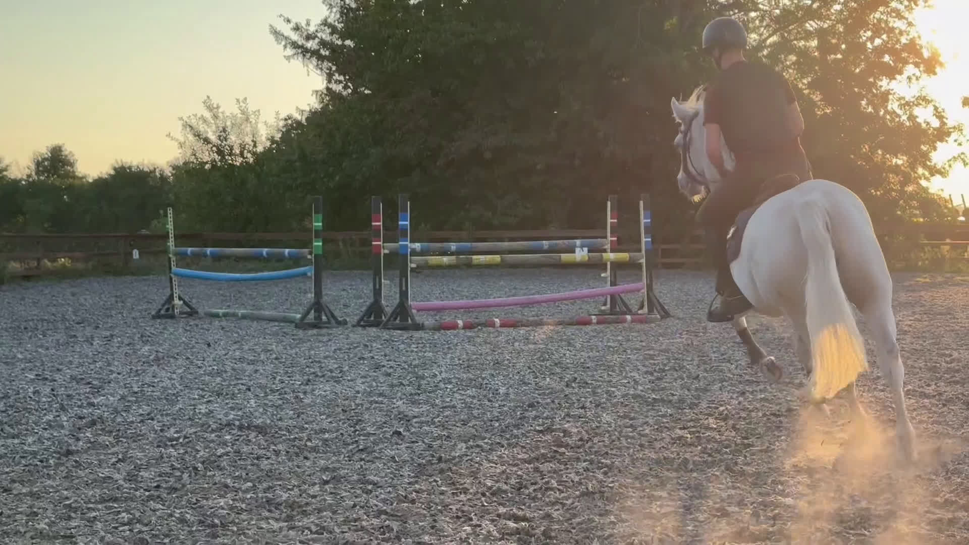 Hoppning hästar till salu: Versatile Show Jumping Pony – Proven Across Europe - Video 3