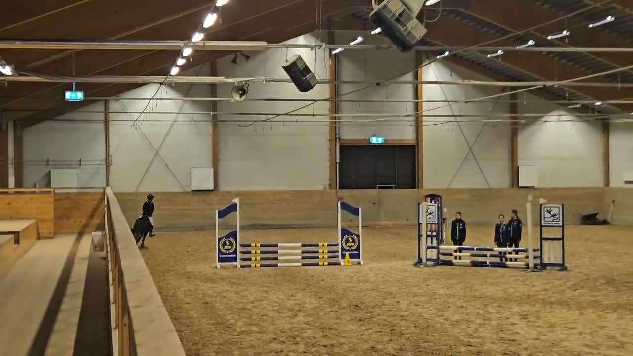 Hoppning hästar till salu: Fin B-ponny i Sävar - Video 3