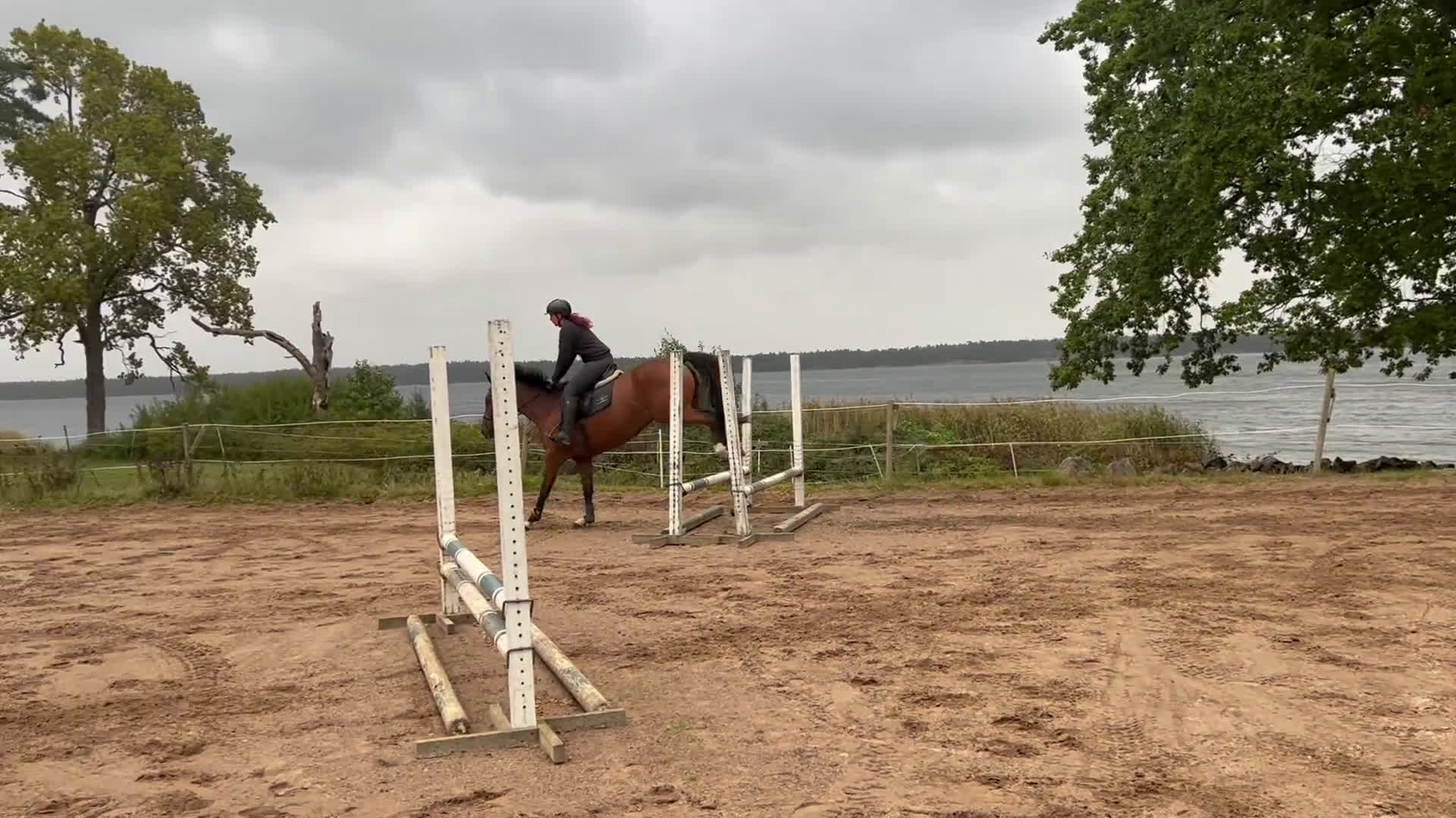 Hoppning hästar till salu: Lovande Valack i Västervik - Video 2