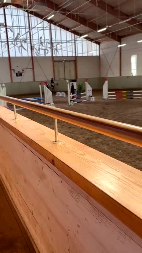 Allround hästar till salu: Pigg allroundponny  - Video 2