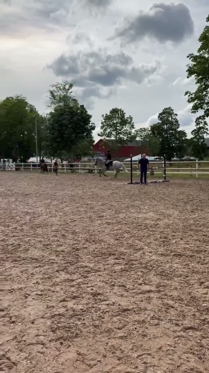 Hoppning hästar sökes: D-ponny sökes till mjuk ryttare - Video 1
