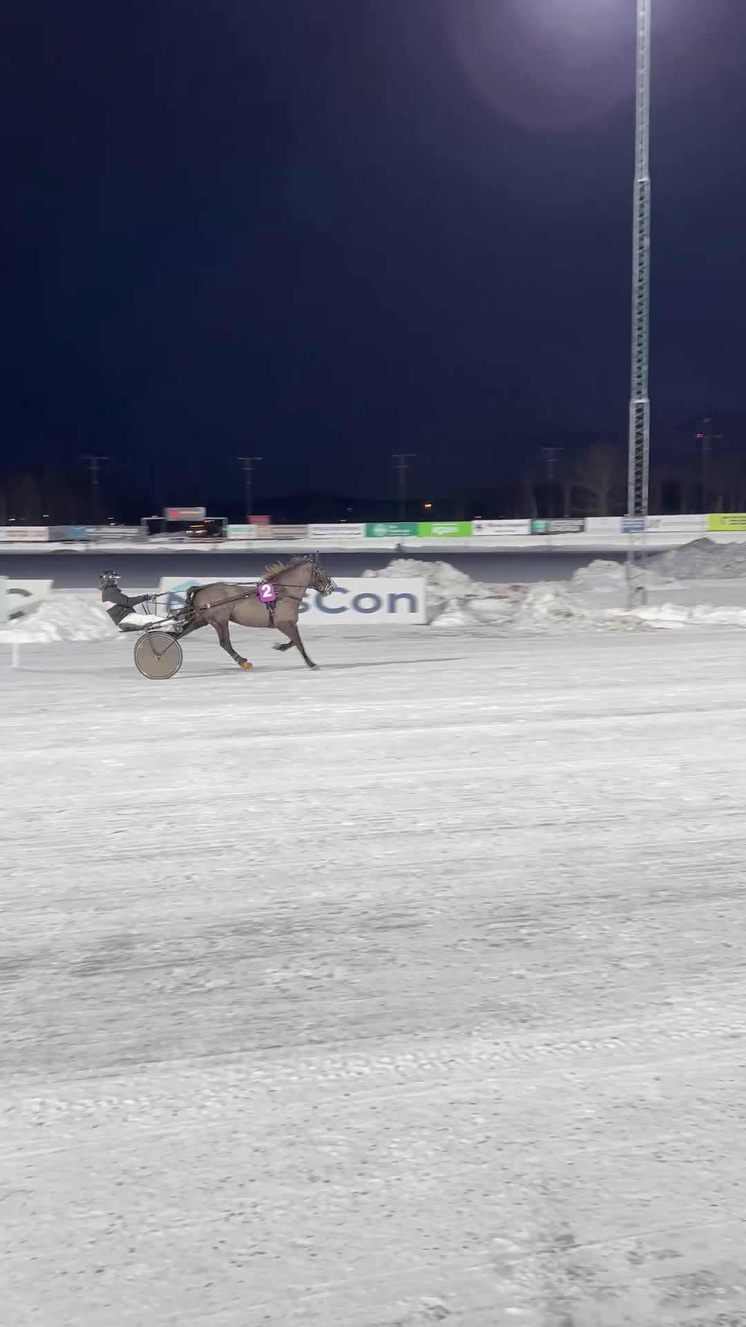 Trav hästar till salu: Starthäst - Video 1