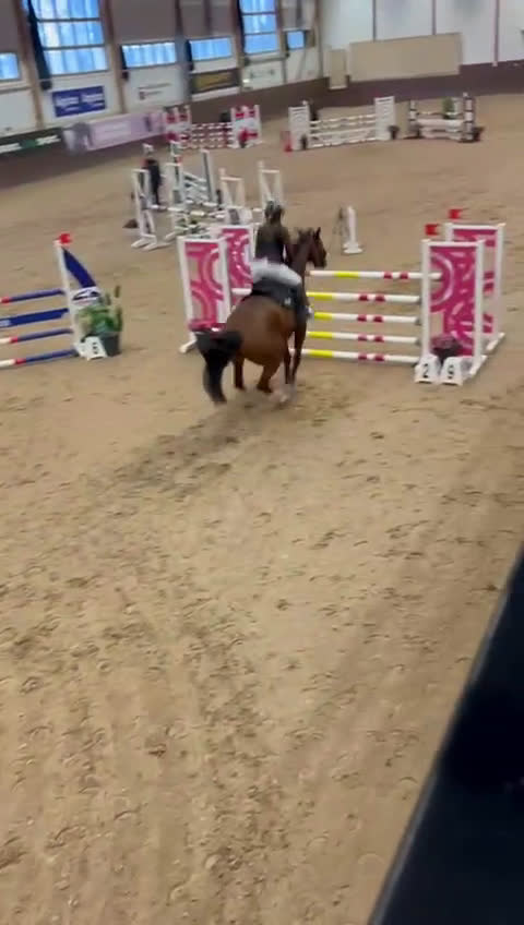 Hoppning hästar till salu: Tävlingskompis - Video 2