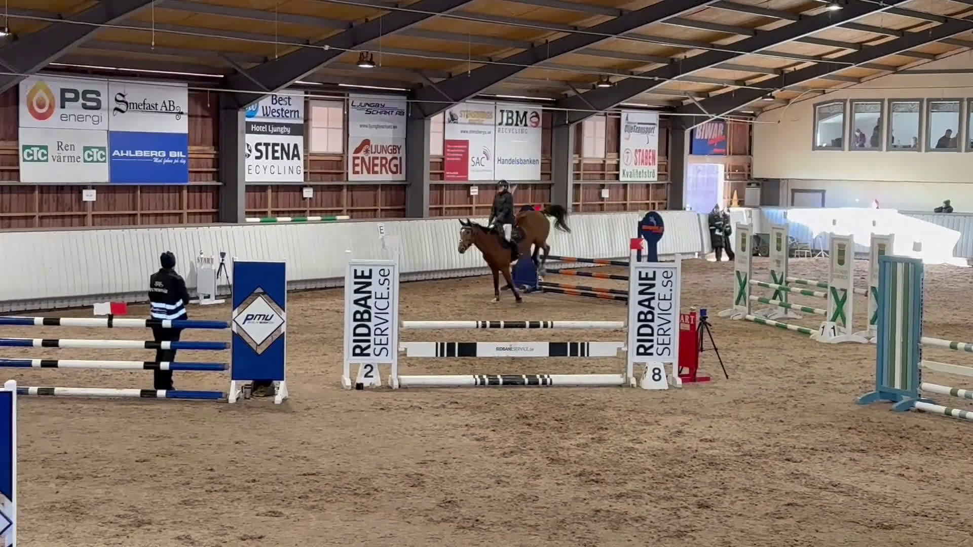 Hoppning hästar till salu: Oslipad diamant!  i Växjö - Video 1