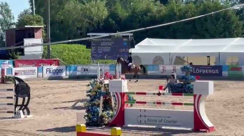 Hoppning hästar till salu: Bästa vän i vardag och på tävling - Video 3