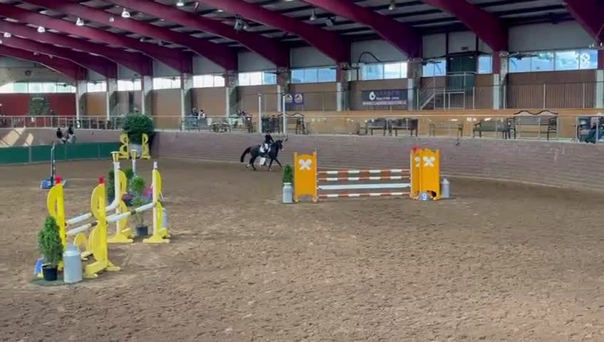 Hoppning hästar till salu: Ljuvligt Sto ⭐️ i Valbo - Video 1