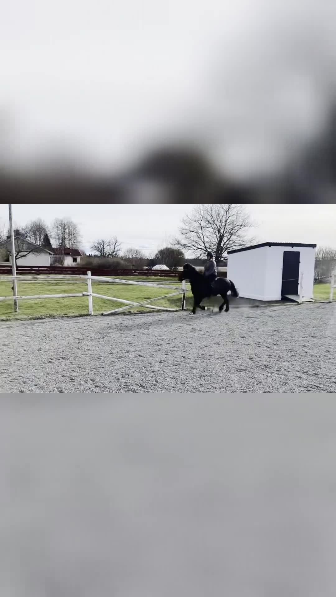 Island hästar till salu: Känsligt sto med super tölt! i Vattholma - Video 1