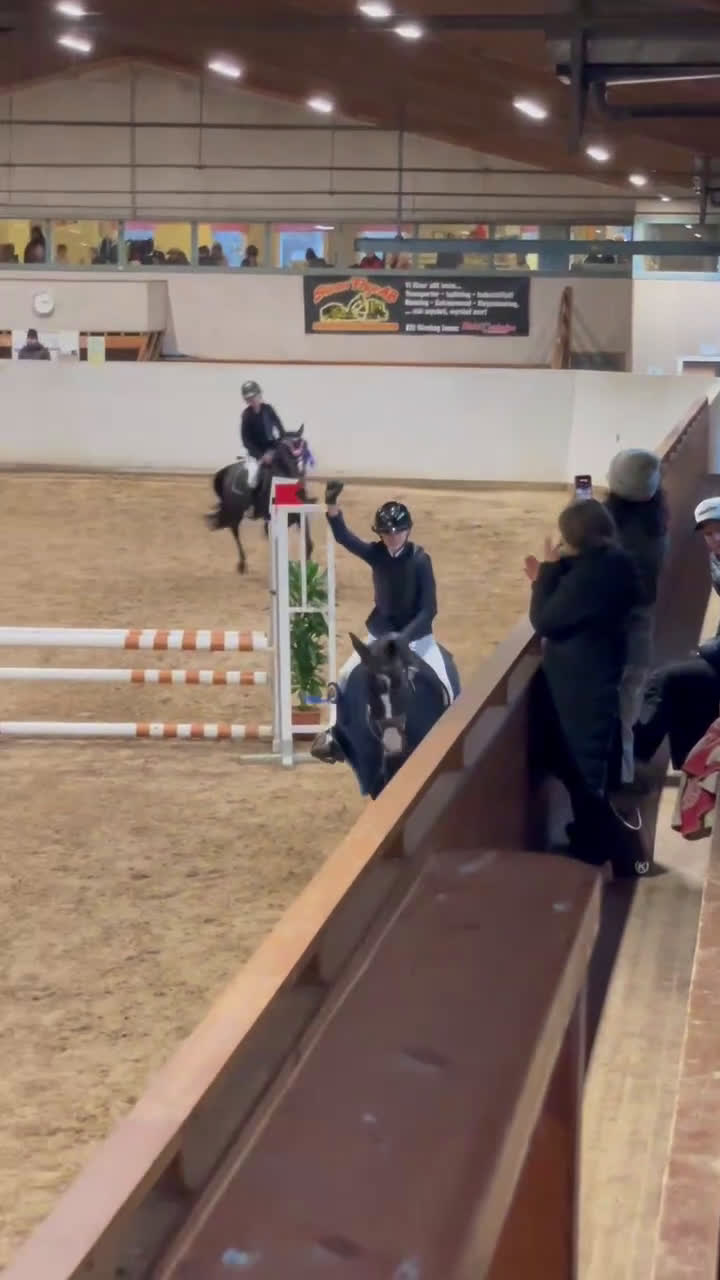 Allround hästar till salu: Världens finaste allround ponny till salu🤩 i Hudiksvall - Video 1