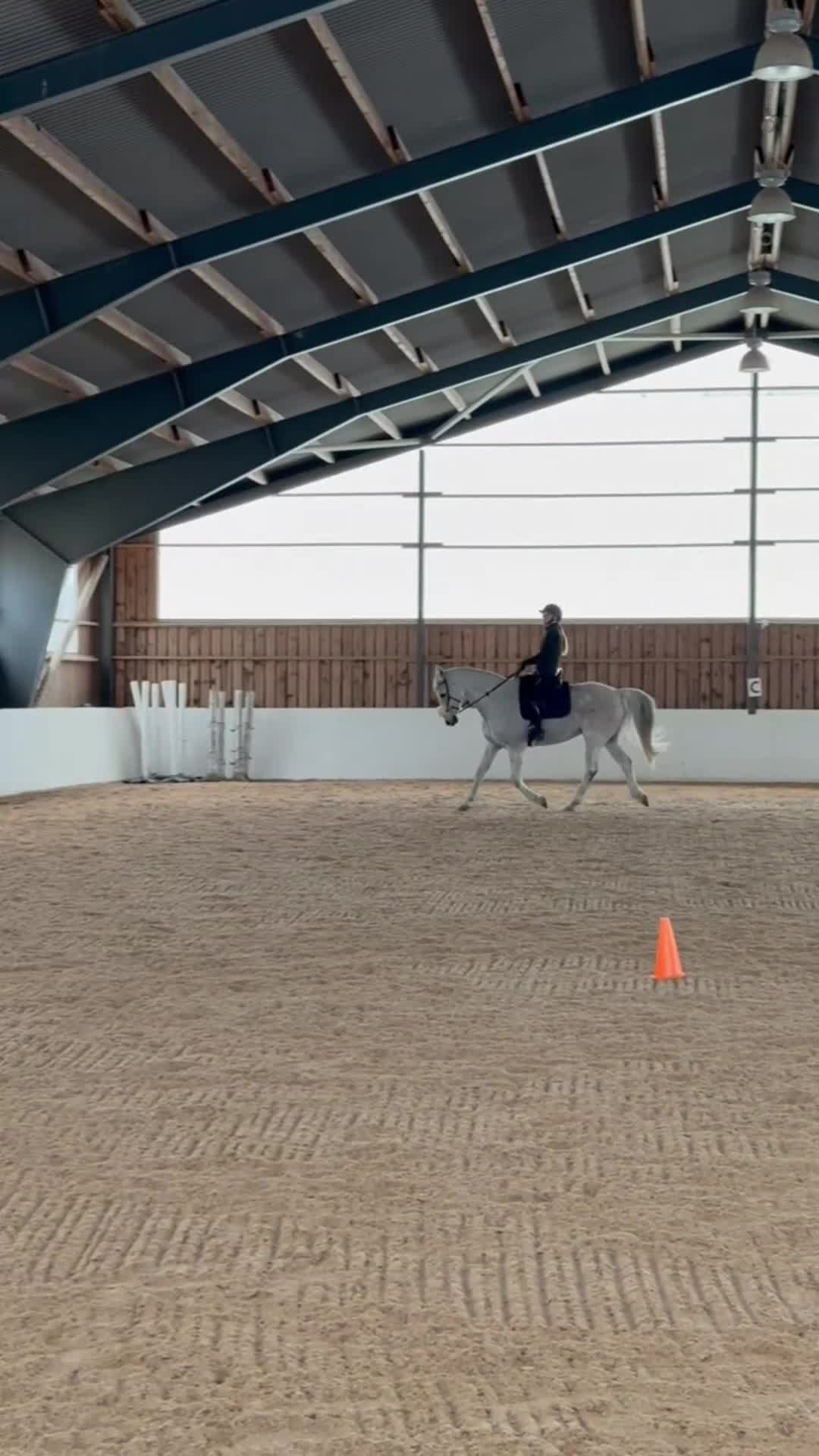 Allround hästar till salu: Bästa vän söker nytt hem - Video 2