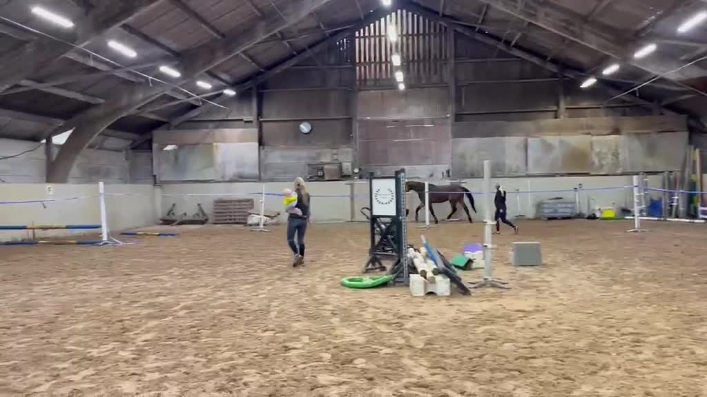 Hoppning hästar till salu: Toppavkomma säljes till tävlingsrytttare! - Video 2