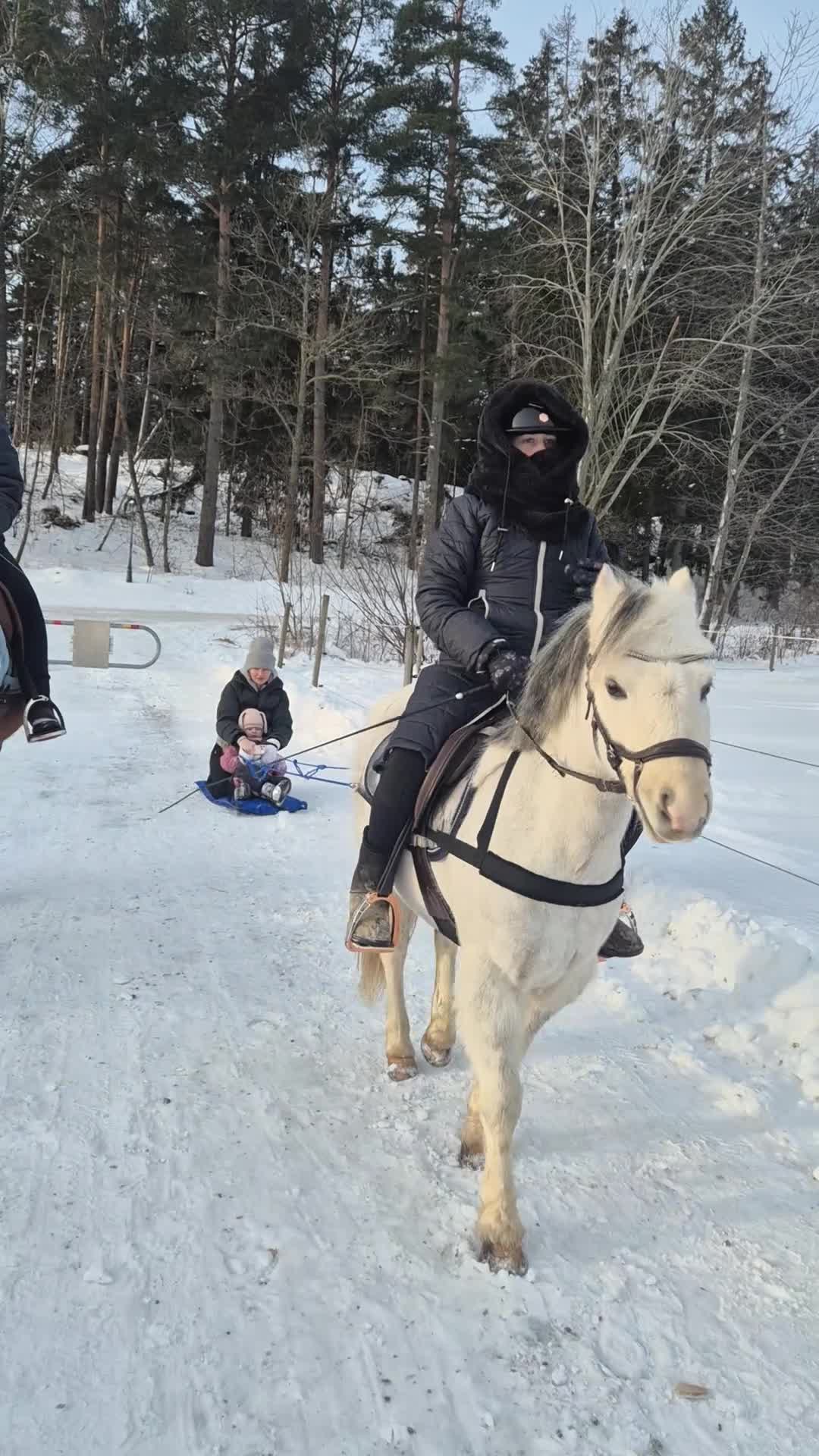 Allround hästar till salu: Ponnypärla! i Ekerö - Video 1