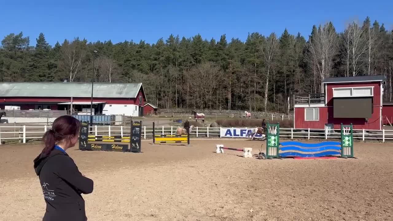 Allround hästar till salu: Trevlig och okomplicerad inriden valack - Video 5
