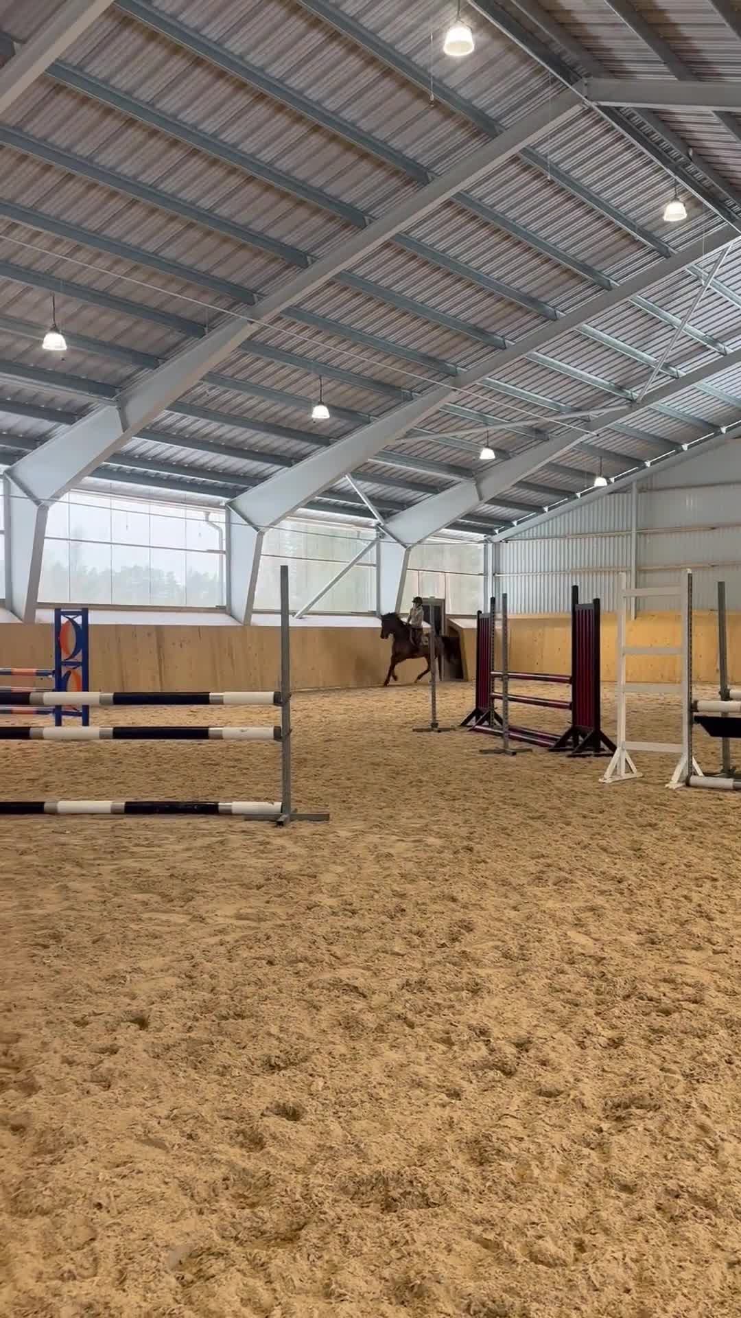 Hoppning hästar till salu: Tävlingshäst med mycket energi! - Video 2