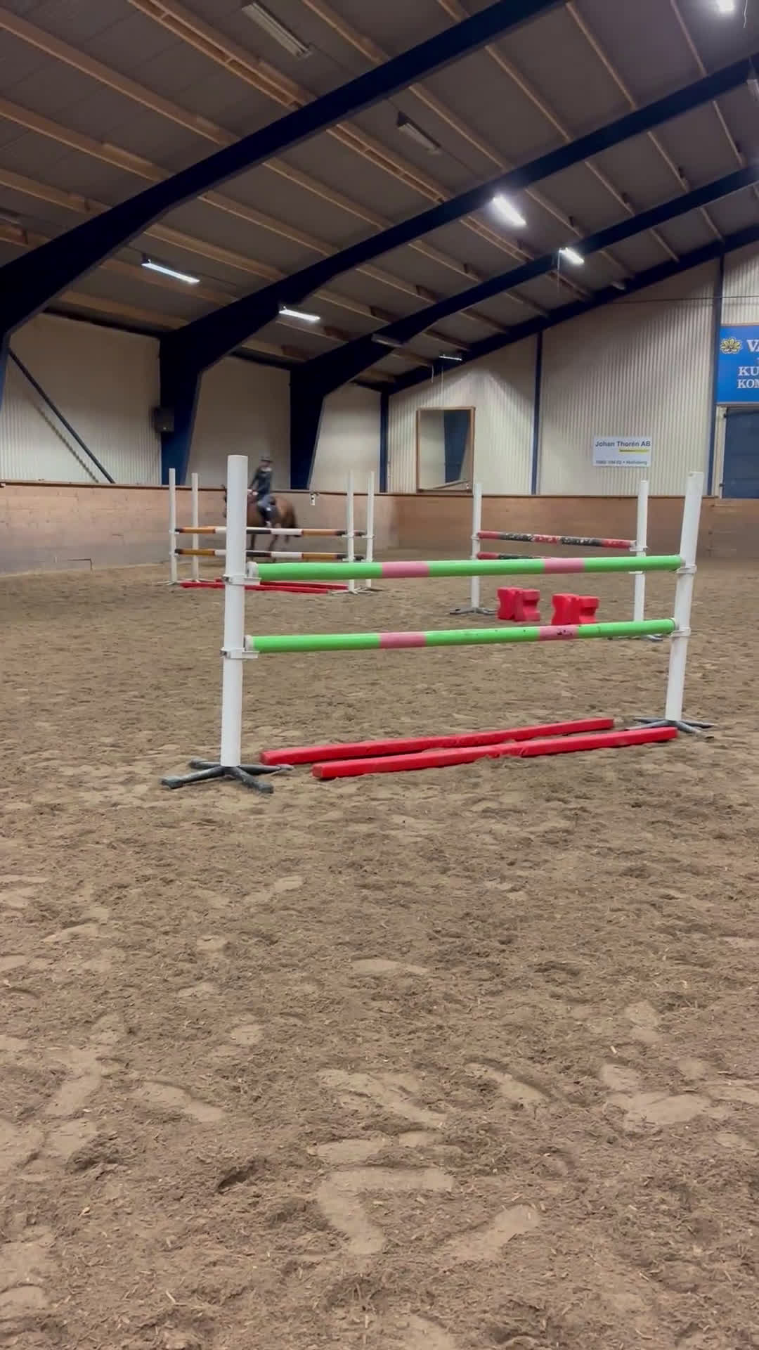 Allround hästar till salu: En på miljonen i Kumla - Video 1