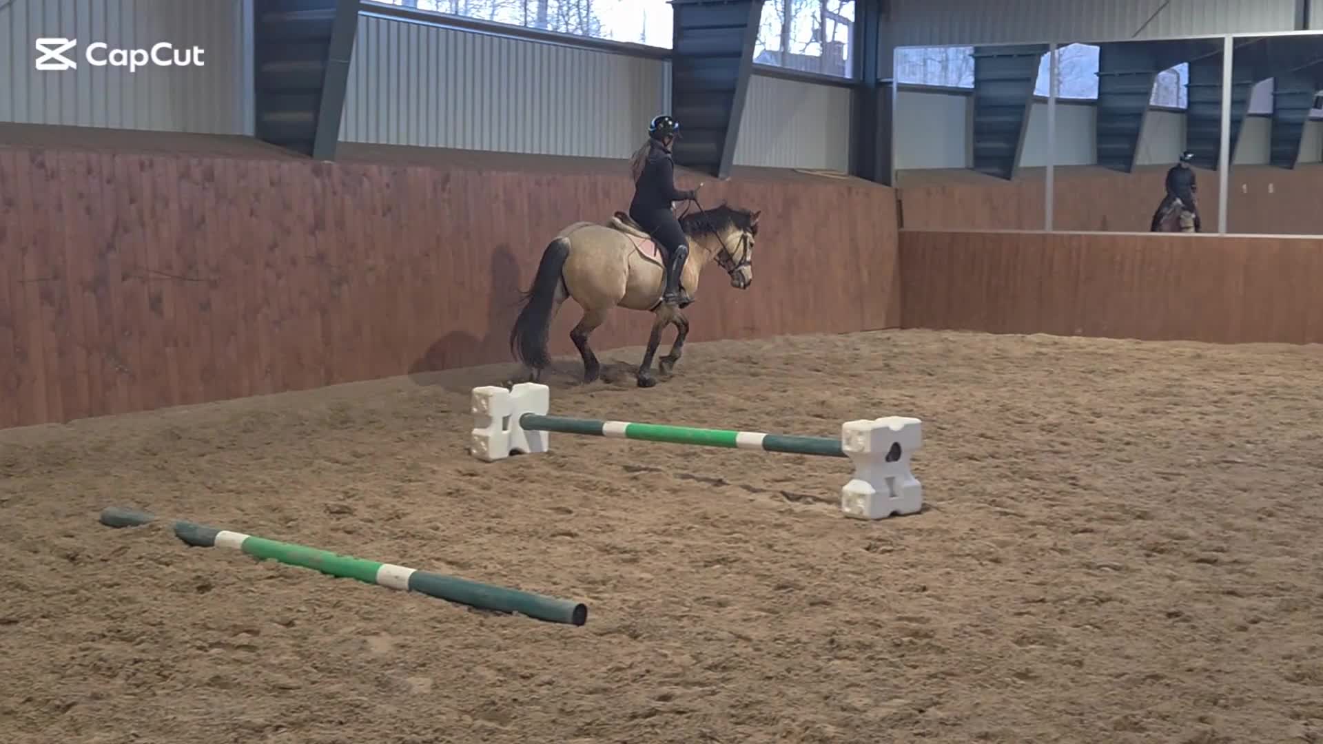 Allround hästar till salu: ⭐️Rutinerat d-ponnysto söker nytt hem⭐️ i Värsås - Video 3