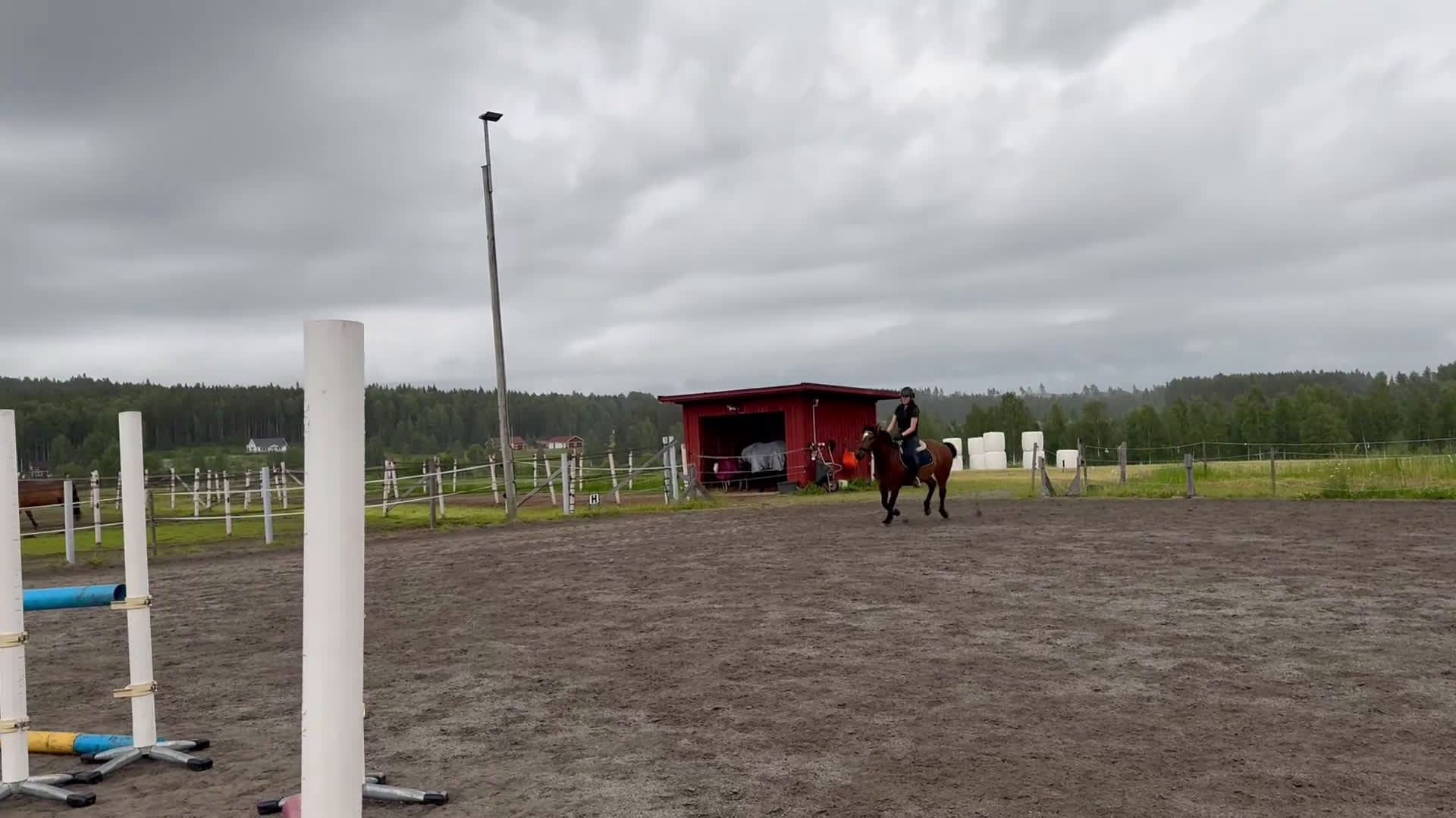 Allround hästar till salu: Världens bästa ponny  - Video 1