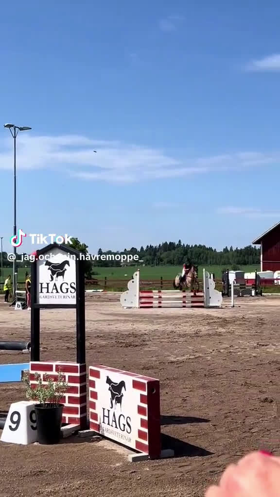 Hoppning hästar till salu: Underbart c-ponny sto  i Vikarbyn - Video 3