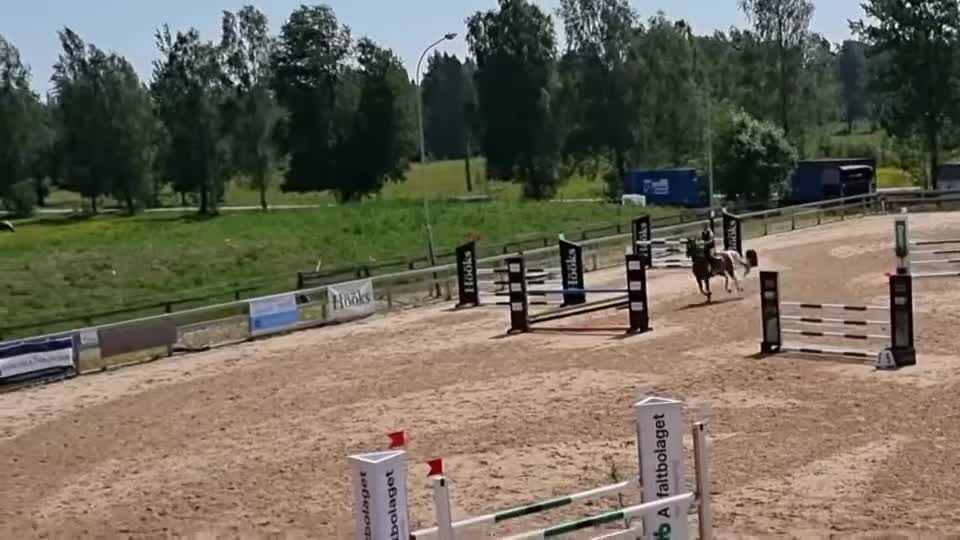 Allround hästar till salu: Läromästare till satsande  - Video 1