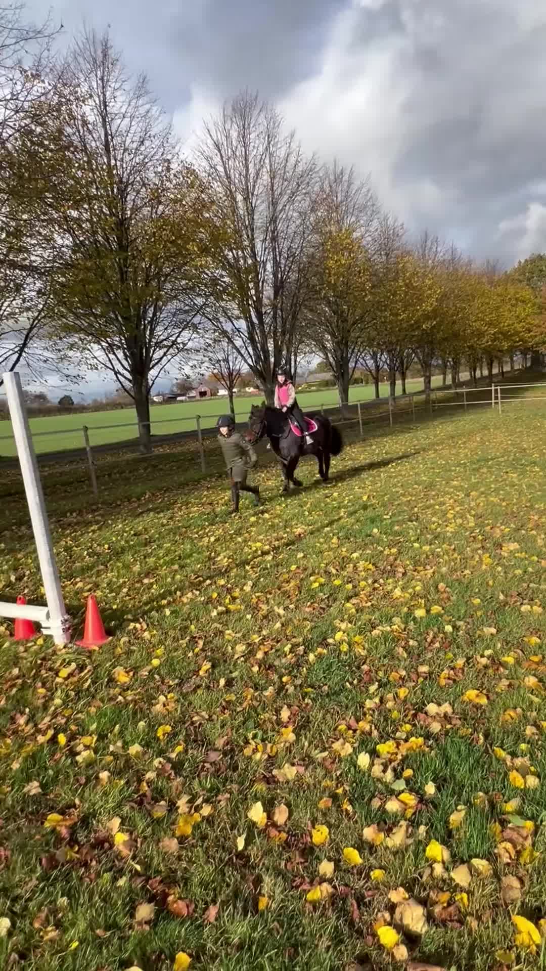 Allround hästar till salu: Trygg B-ponny - perfekt första ponny 🐴 - Video 4