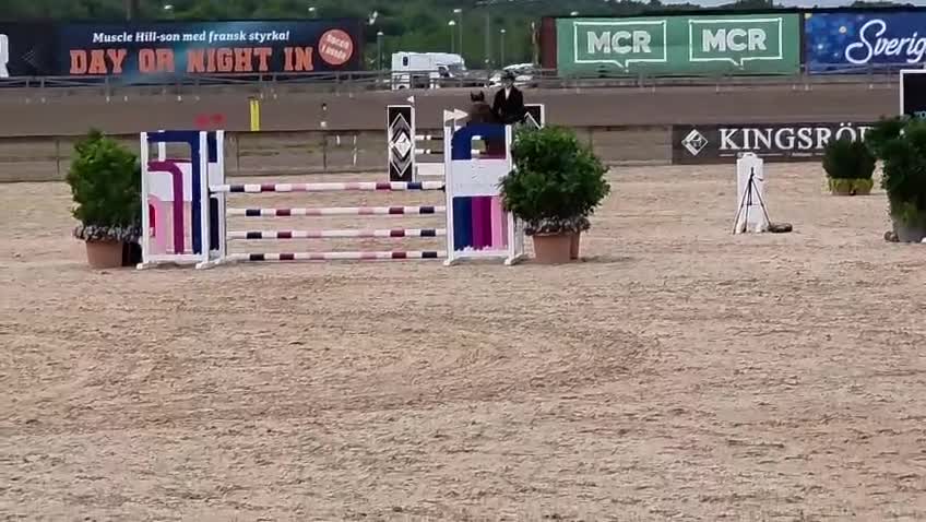 Hoppning hästar till salu: Härligt hoppsto för framtiden - Video 2