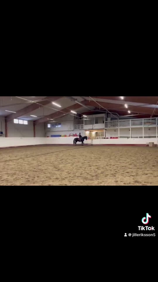 Allround hästar till salu: Vackert sto - Video 2