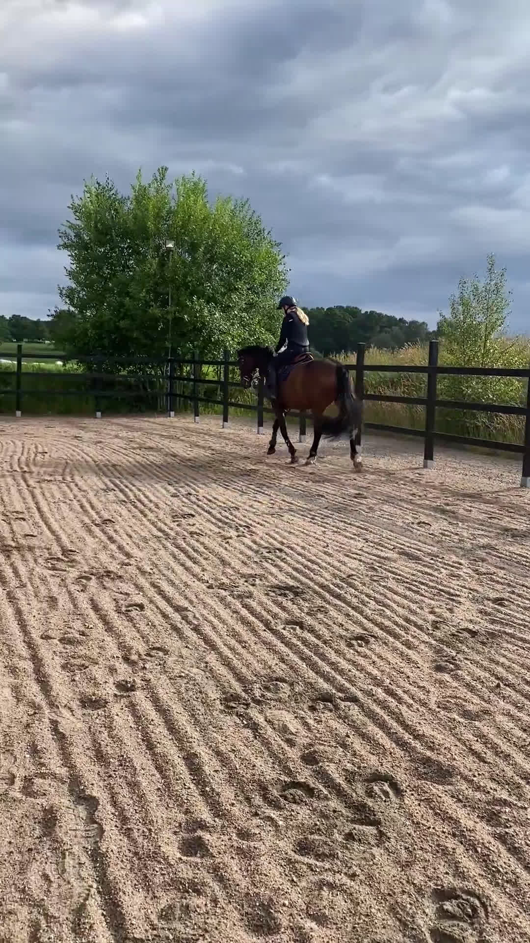 Allround hästar till salu: Vackert sto i Vårgårda - Video 1