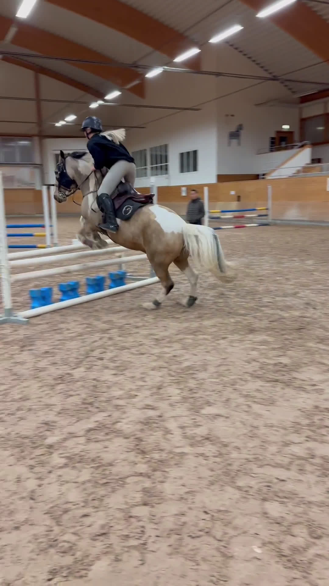 Hoppning hästar till salu: Snäll c-ponny söker nytt hem💞 i Vikarbyn - Video 2