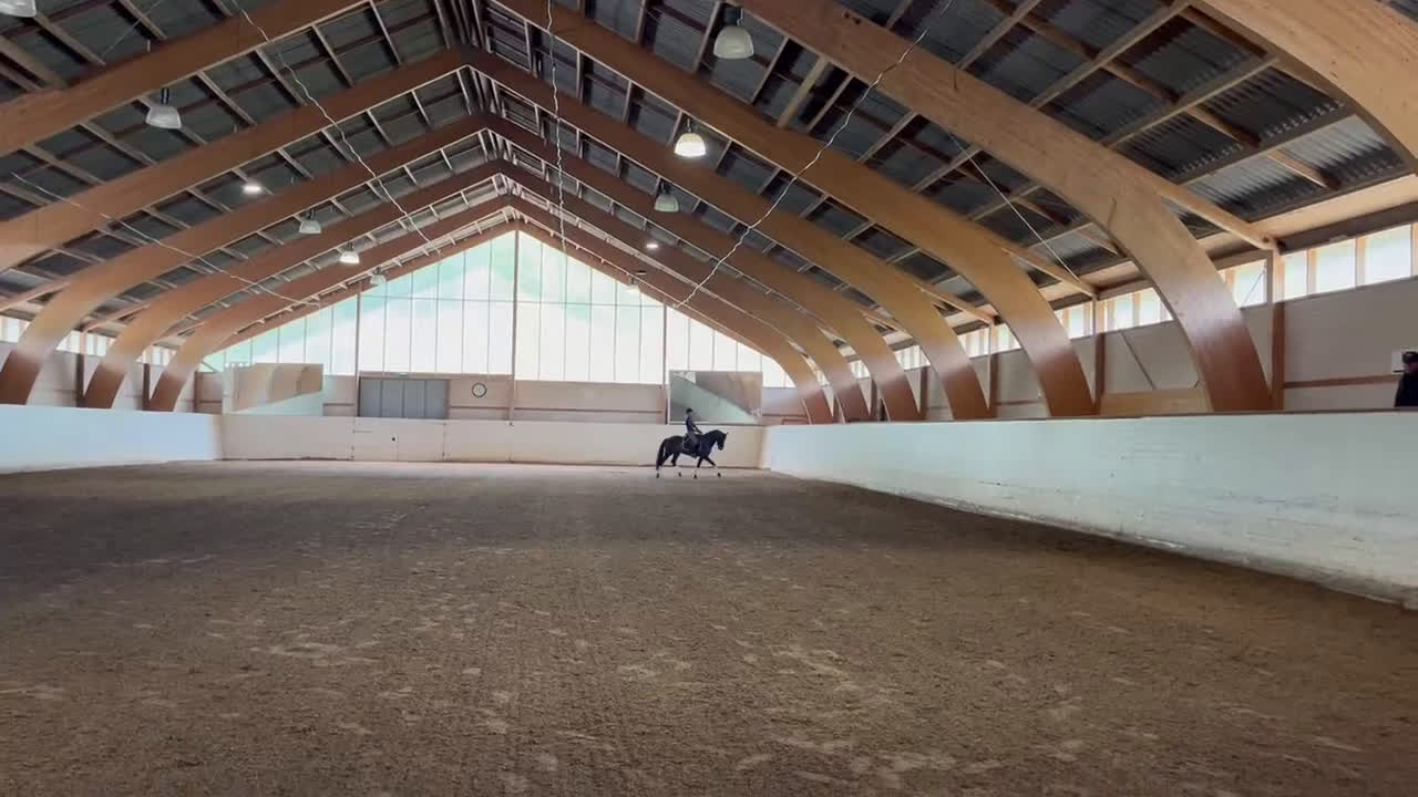 Dressyr hästar till salu: Fantastisk ponny i ”storhästformat” i Saltsjö-duvnäs - Video 1