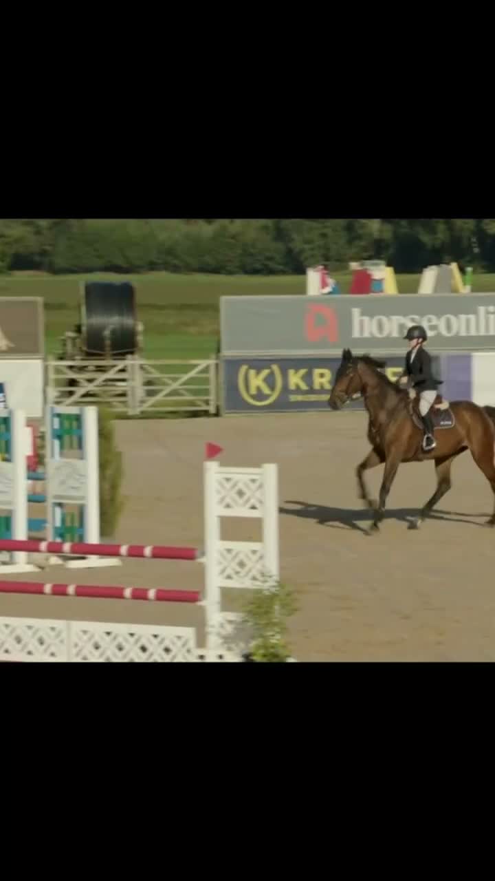 Hoppning hästar till salu: Sto för dom största klasserna  - Video 2