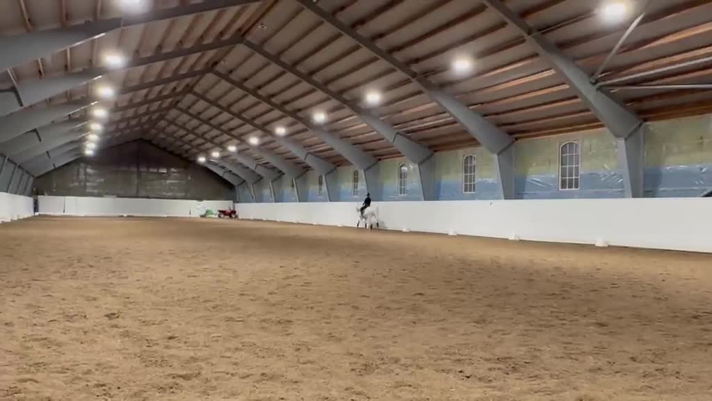 Dressyr hästar till salu: Välutbildad läromästare söker kärleksfullt hem - Video 4