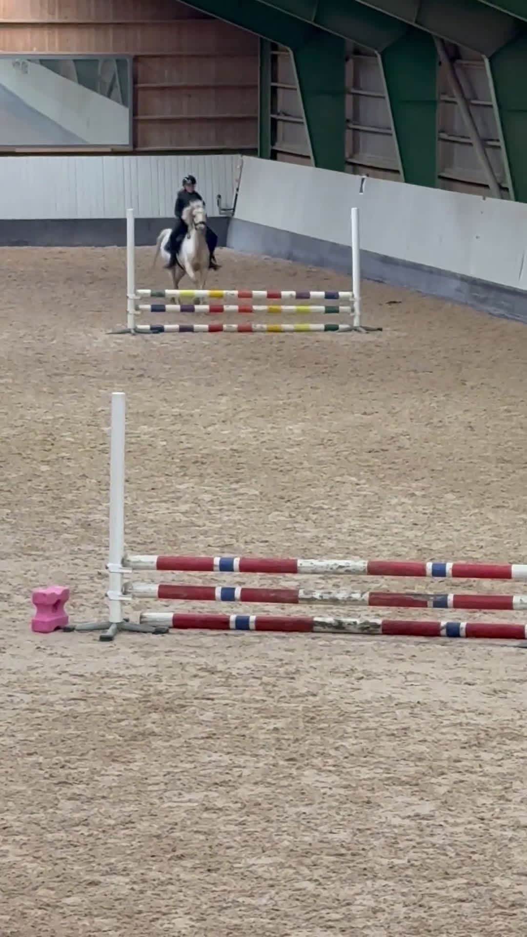 Allround hästar till salu: Bästa vän & läromästare - Video 5