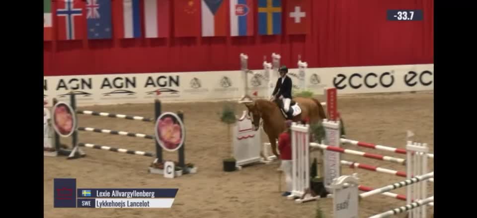 Hoppning hästar till salu: Killen med hjärta av guld - Video 3