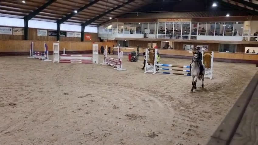 Allround hästar till salu: Maxad b-ponny - Video 3