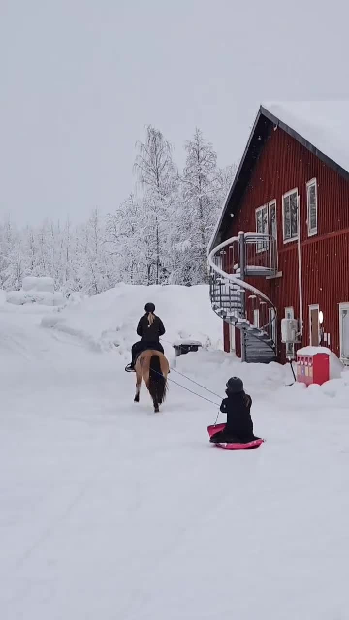 Allround hästar till salu: Fantastisk b-ponny - Video 1