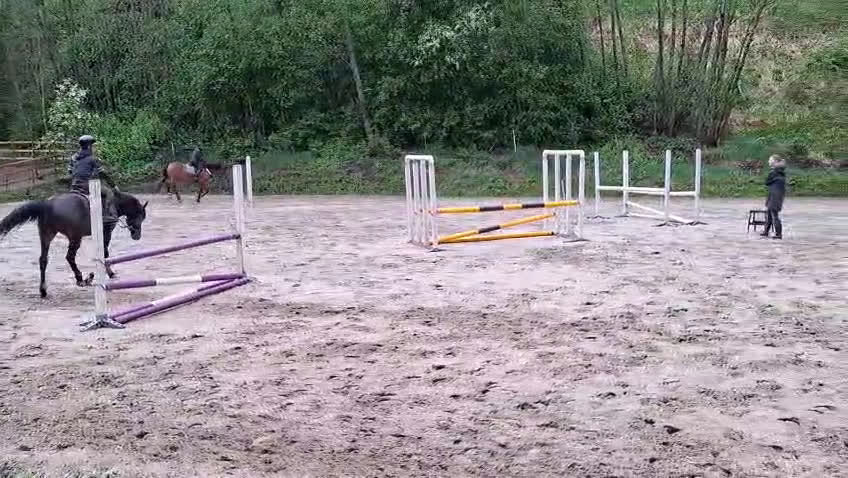 Allround hästar till salu: Skip school  i Edsele - Video 1