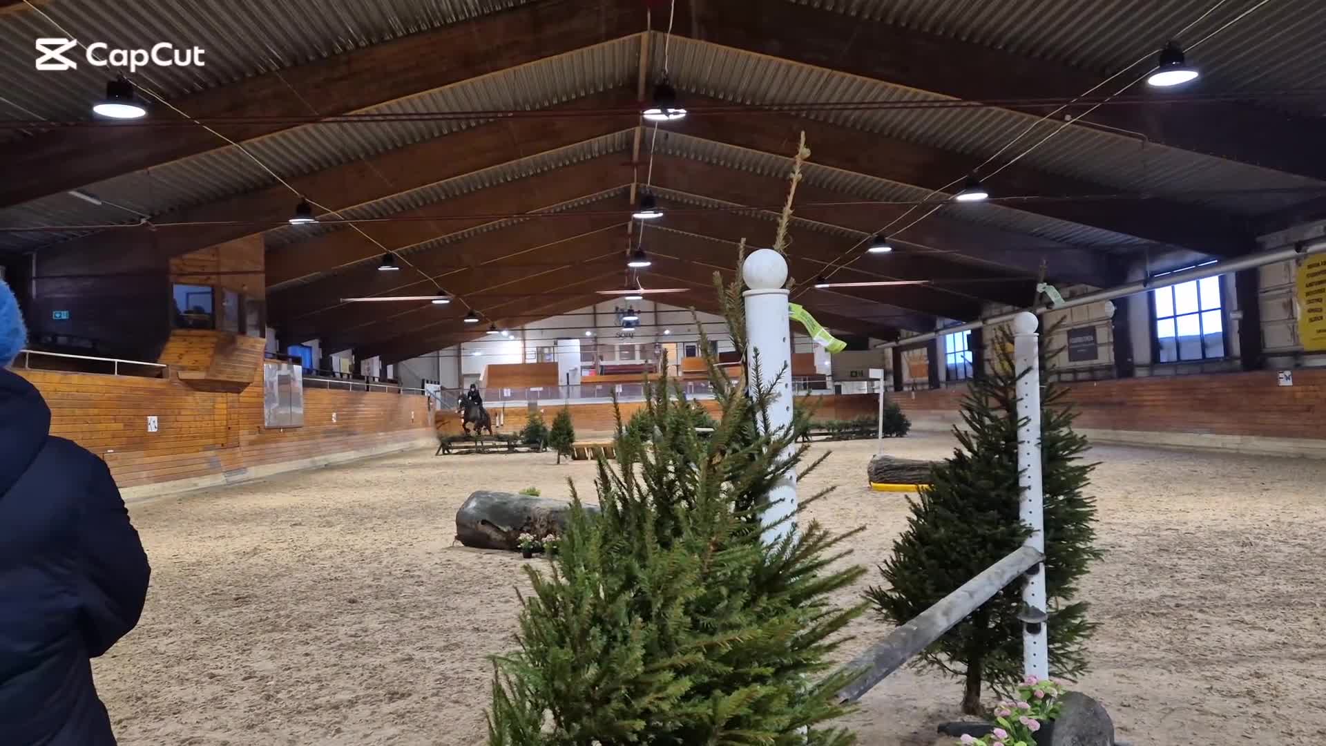 Allround hästar till salu: Fullblods valack söker ny ryttare  - Video 1
