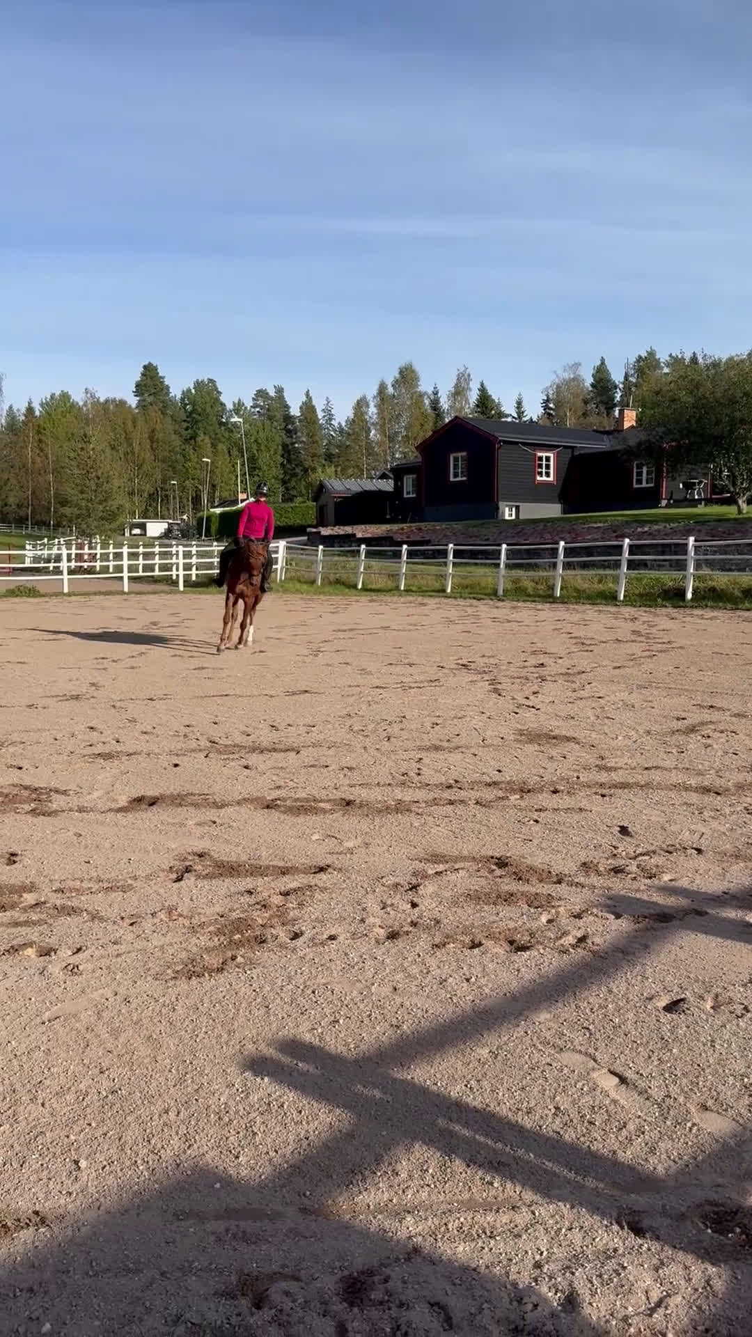 Allround hästar till salu: Sportigt Arab sto 4 år i Söderbärke - Video 3