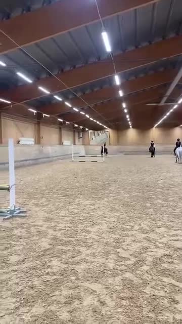 Allround hästar till salu: Tiger söker nytt hem 🖤 - Video 3
