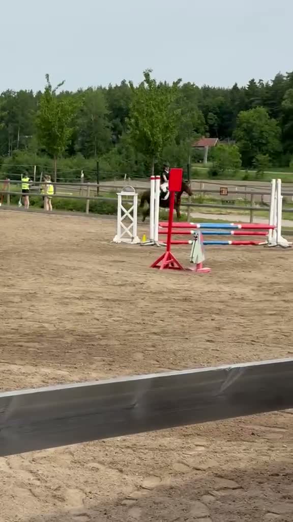 Hoppning hästar till salu: Trygg och pigg rosettplockare och läromästare - Video 2