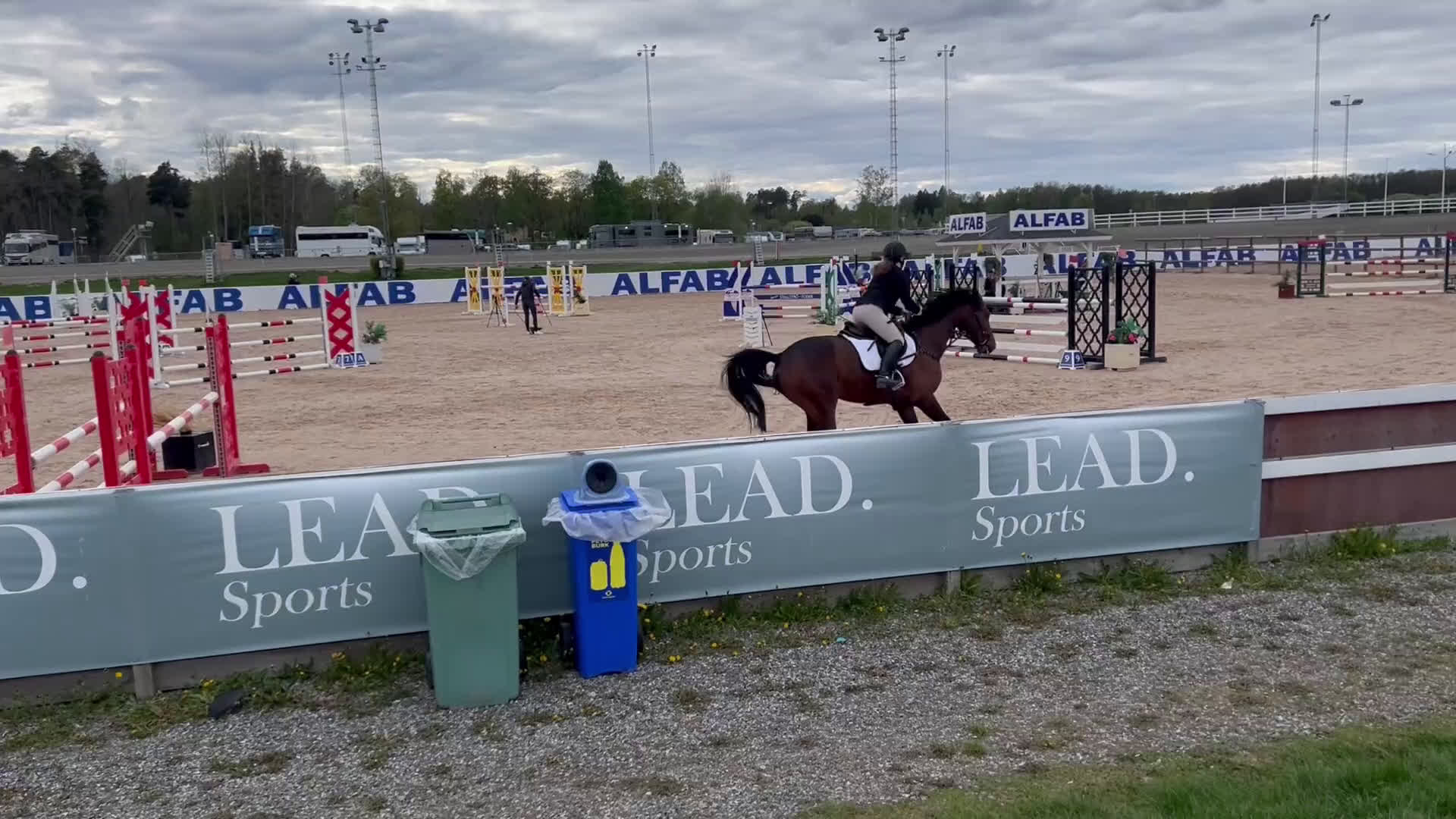 Allround hästar till salu: Underbar hopphäst! i Linköping - Video 1