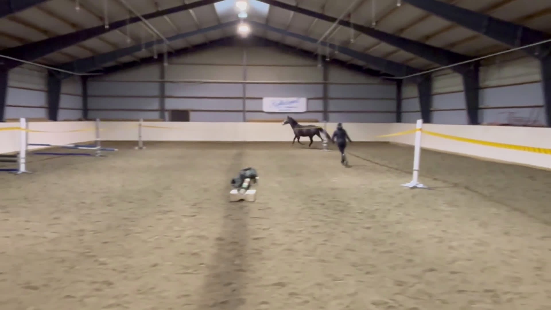 Hoppning hästar till salu: Känsligt och godhjärtat sto - Video 1