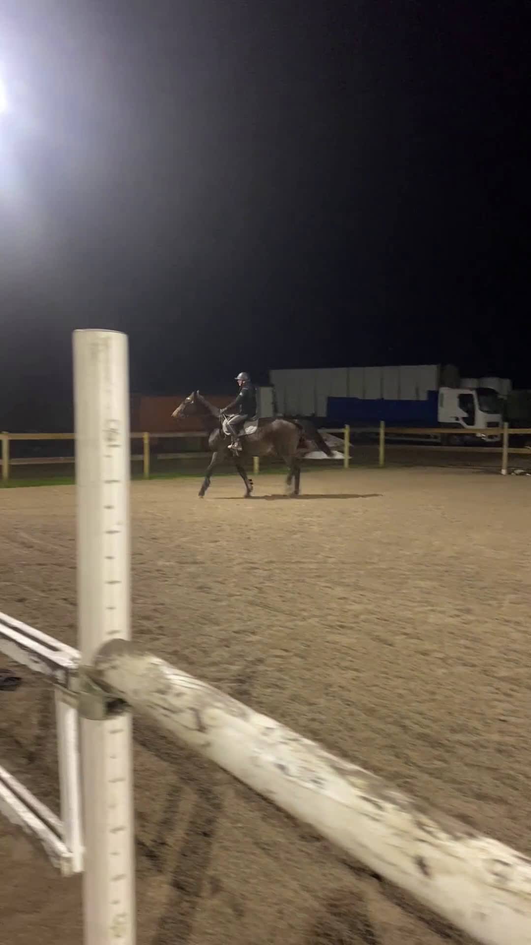 Hoppning hästar till salu: Unghäst för sporten✨ i Broakulla - Video 1