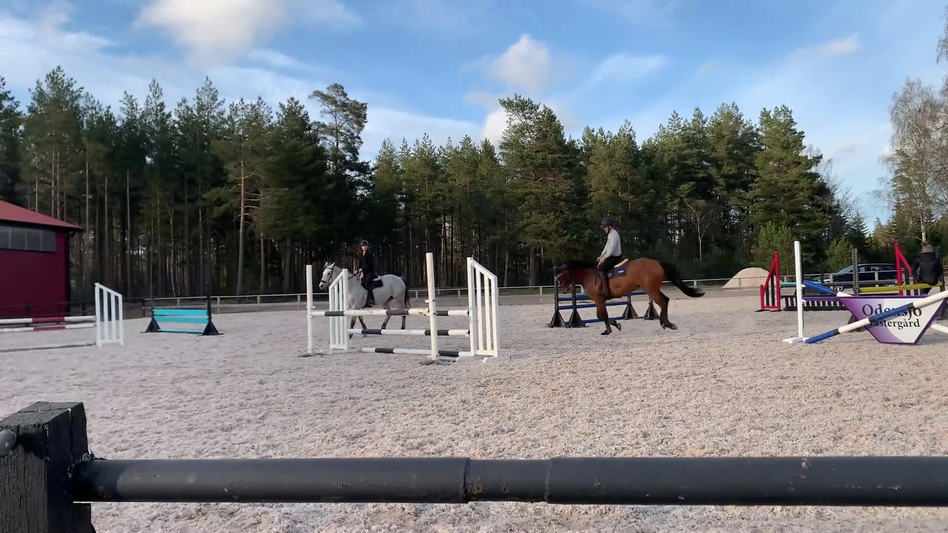 Hoppning hästar till salu: Lyxig hobbyhäst - Video 3