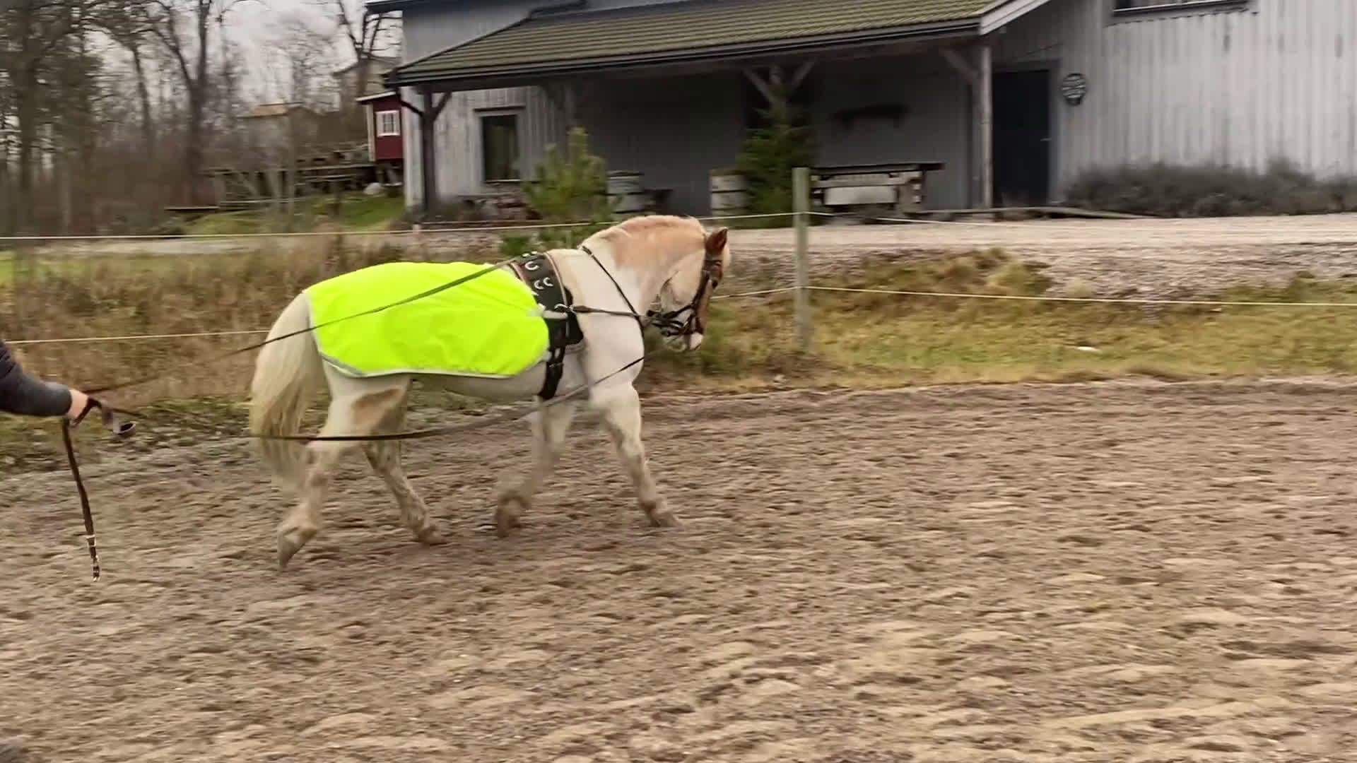 Allround hästar till salu: Barnponny  i Gnesta - Video 3