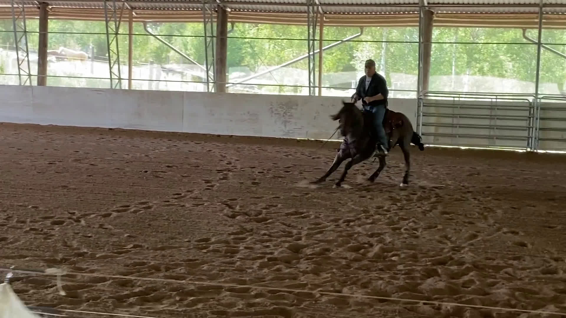 Western hästar till salu: Quarter sto föl i Kristinehamn - Video 1
