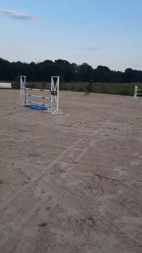 Hoppning hästar till salu: Ferrari söker ny förare! i Hunnebostrand - Video 2