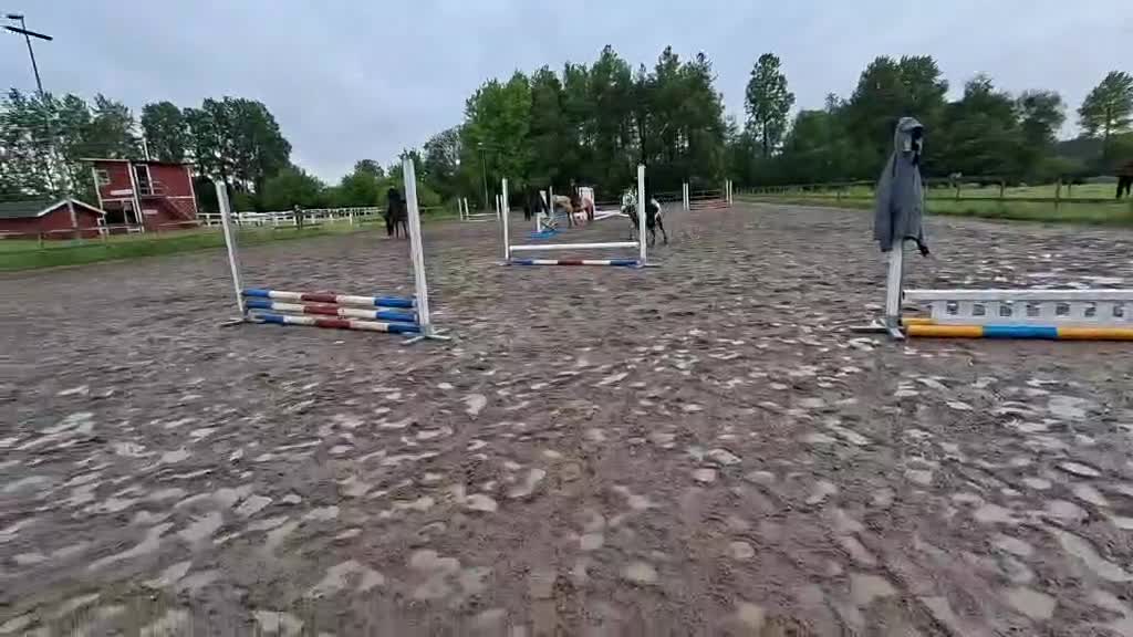 Hoppning hästar till salu: Hoppglad ungponny  - Video 2