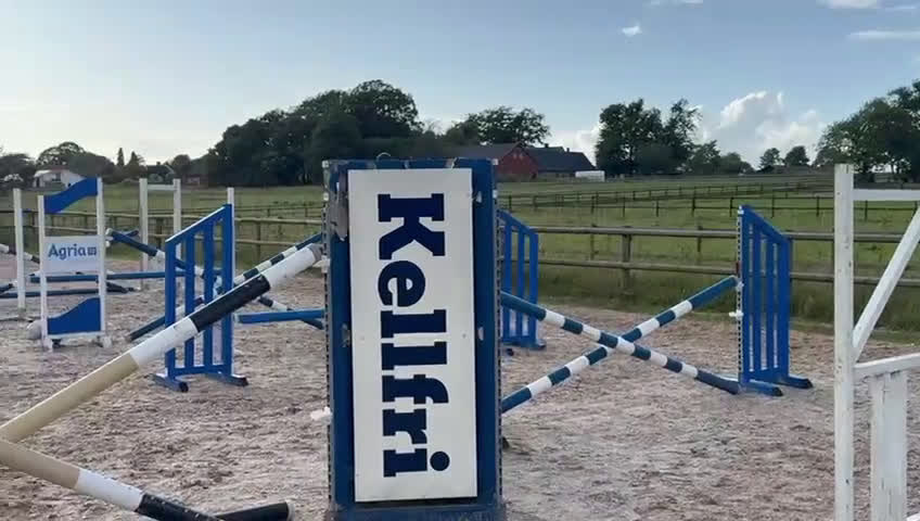 Fälttävlan hästar till salu: Trevlig häst för hoppning/fälttävlan i Löberöd - Video 1