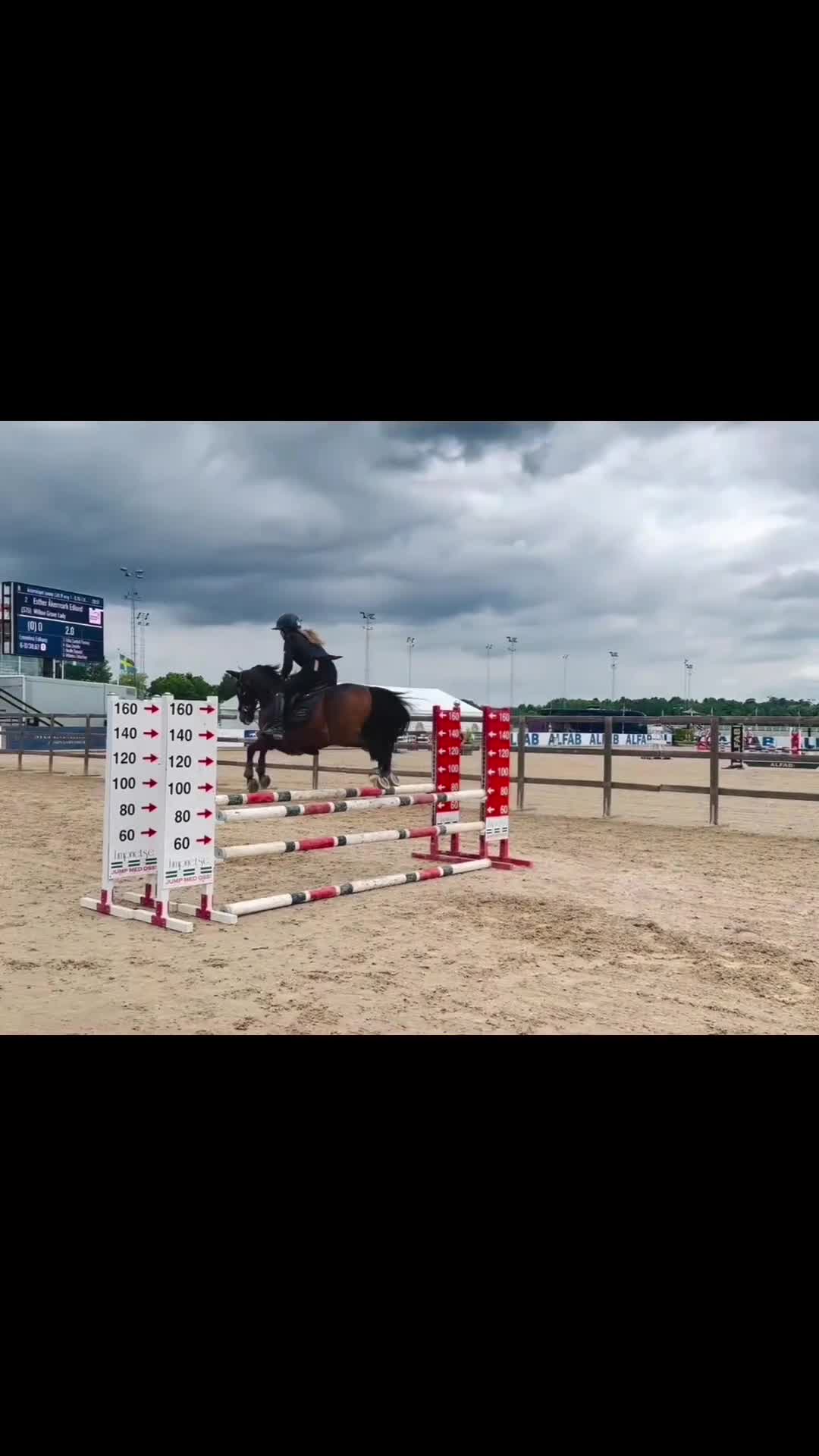 Hoppning hästar till salu: Välutbildad läromästare med hjärta av guld ❤️ - Video 3